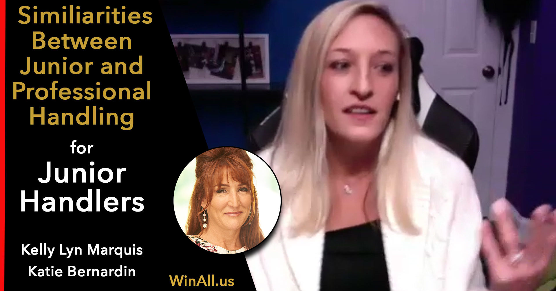 Similarities Between Junior Handling and Professional Handling | Winall ...